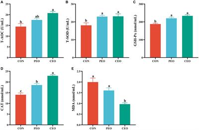 Effect of diets supplemented with coated plant essential oil on the growth performance, immunity, antioxidant activity, and fecal microbiota of weaned piglets